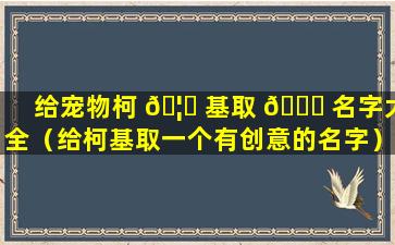 给宠物柯 🦁 基取 🐎 名字大全（给柯基取一个有创意的名字）